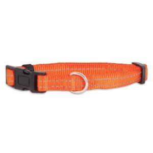 0301963.orange.jpg