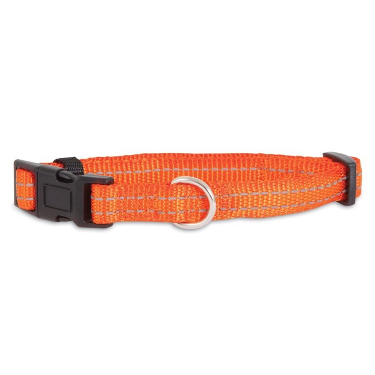 Collars, Leashes & Harnesses 0301963.orange.jpg