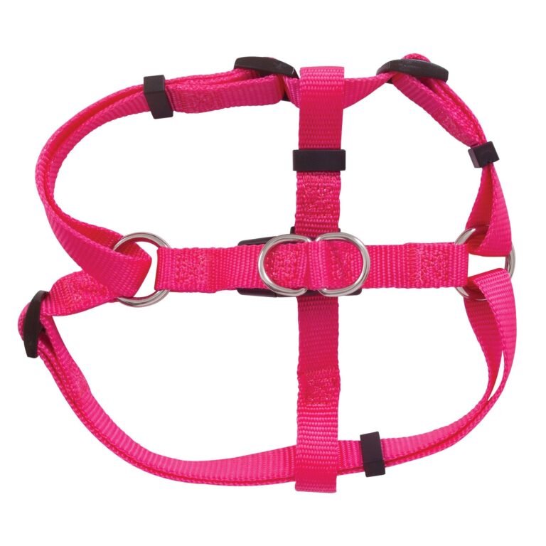 Collars, Leashes & Harnesses 11237.hot pink.jpg