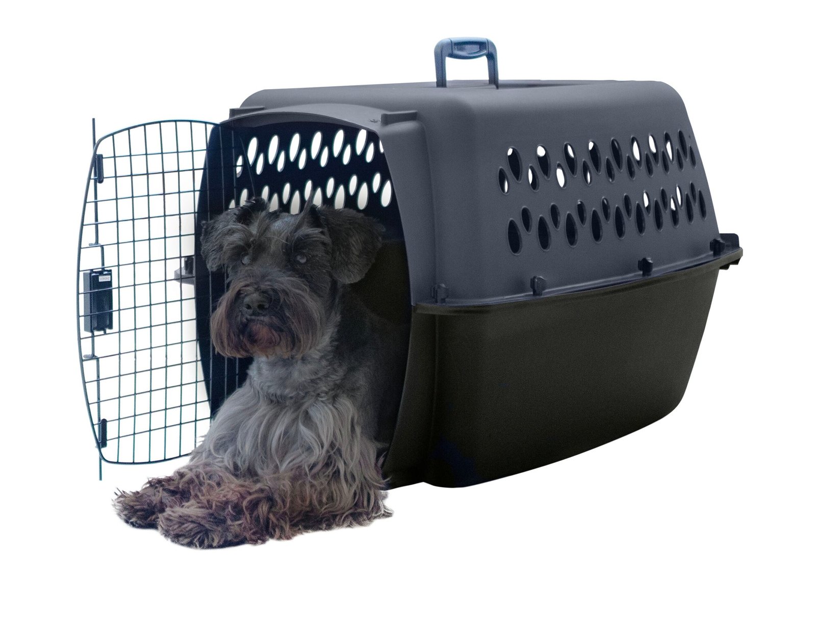 21086 21090 pm pet porter darkgrey 26 lifestyle 1 darkgreytop colorcorrected.jpg