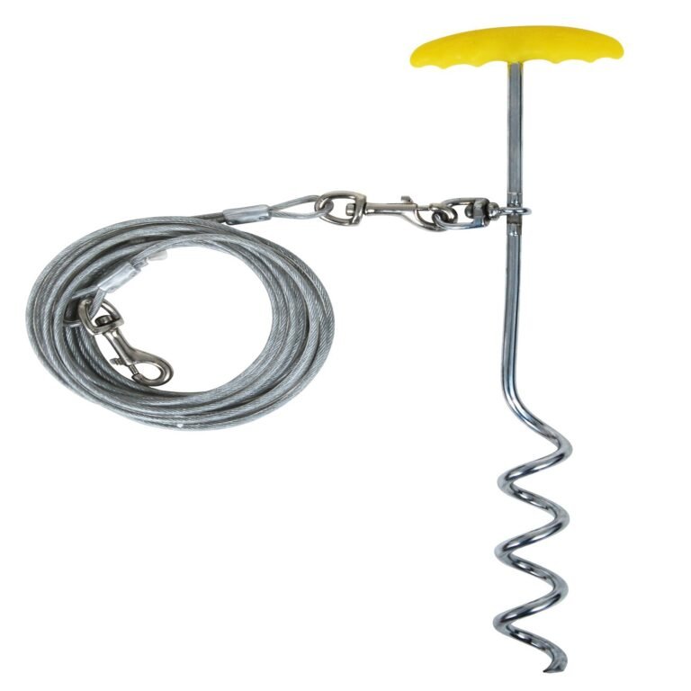 Collars, Leashes & Harnesses 3420720.yellow.jpg
