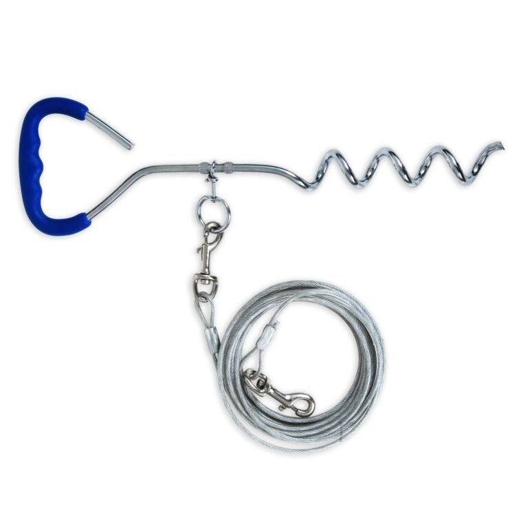 Collars, Leashes & Harnesses 3439815.silver.jpg