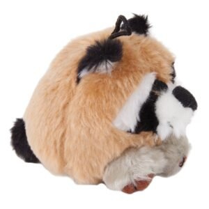 53601.raccoon.jpg