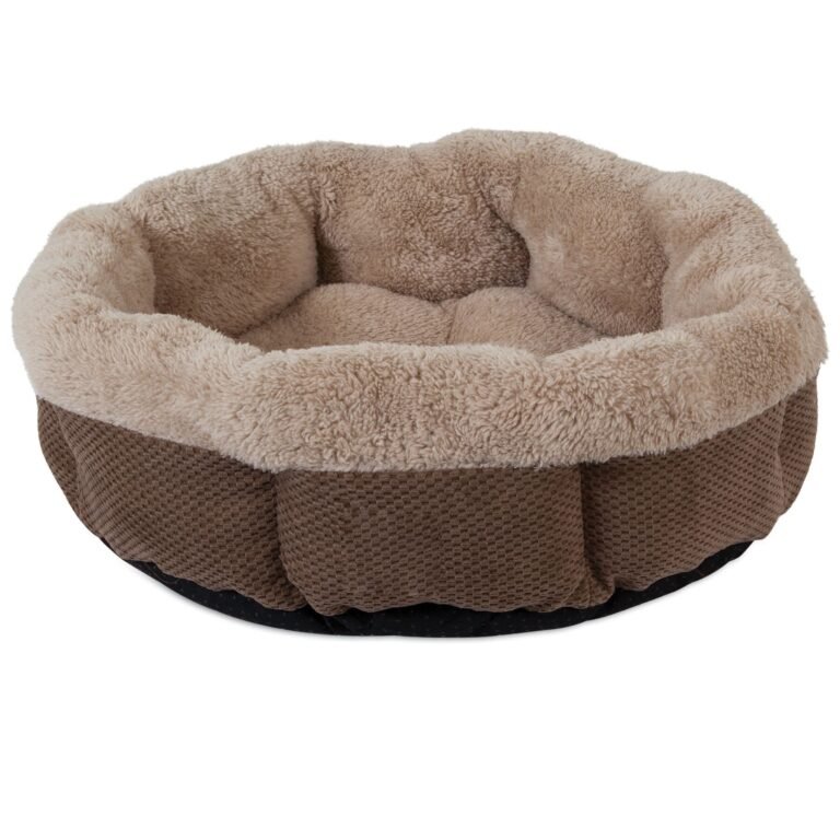 7075617.brown .jpg