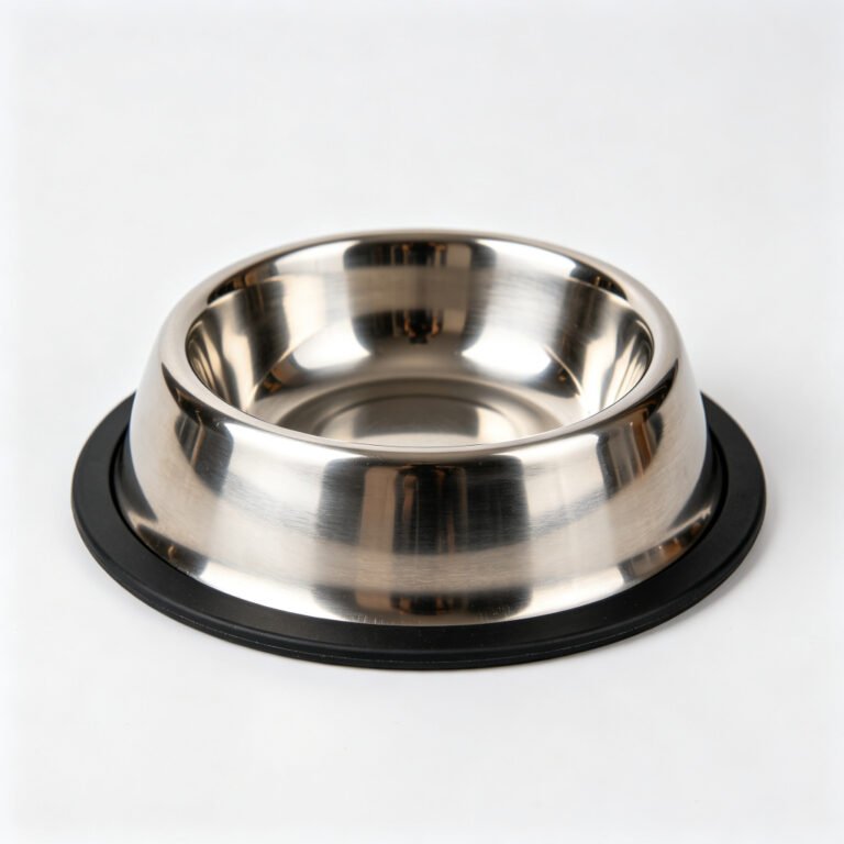cat food bowl 1.jpg